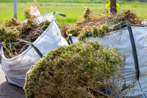 Professional Junk Removal in Cricket, NC